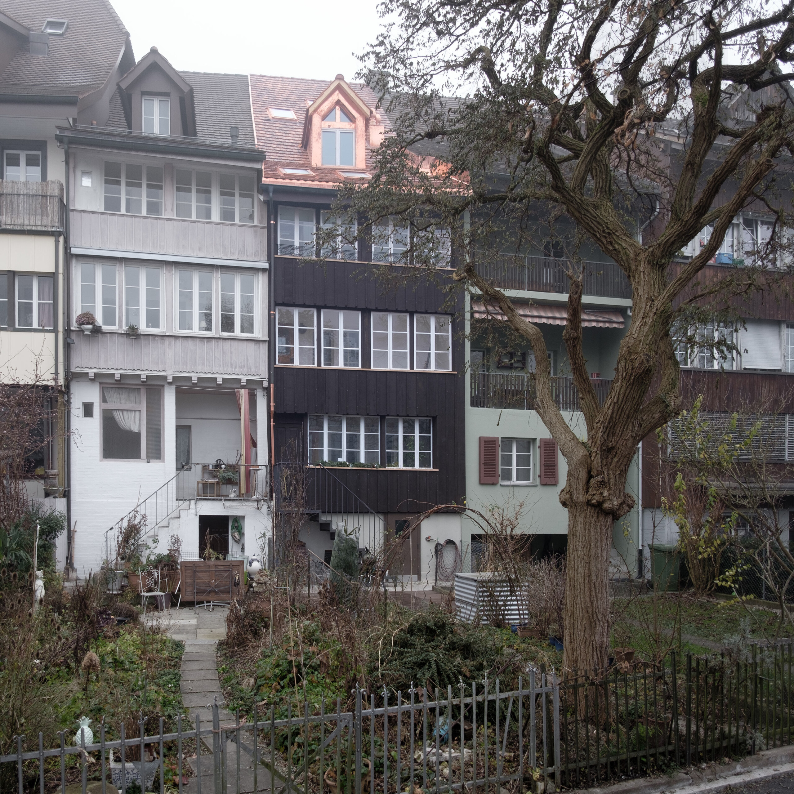 von KGRUPPE Architekten Basel - Reihenhäuser mit verwildertem Vorgarten; zentrale dunkle Holzfassade, links helle Loggia und rechts ein großer knorriger Baum im Vordergrund.